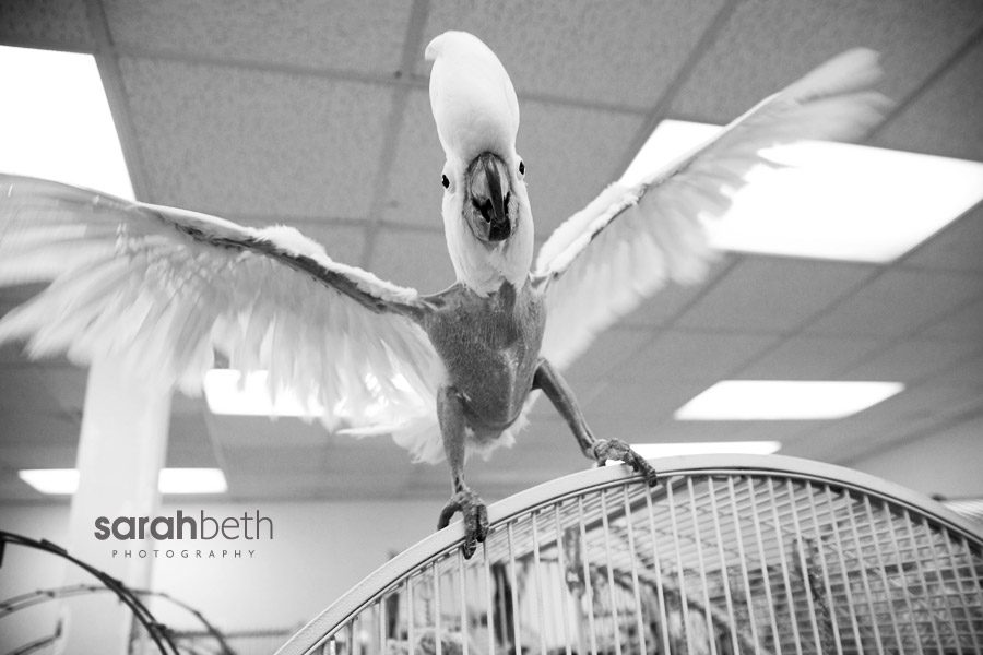 maars3 maars3 maars :: april rescue of the month