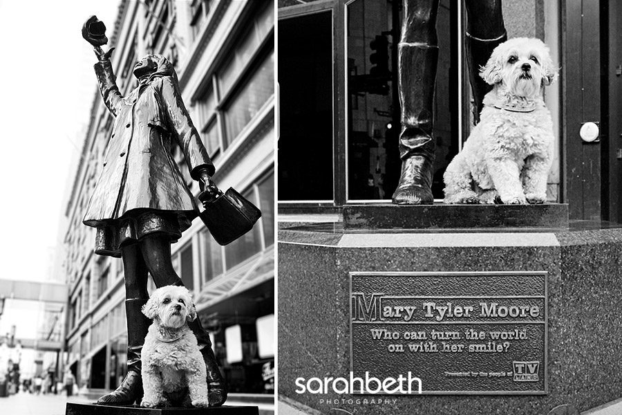 mary-tyler-moore mary tyler moore yoshi :: where all the lights are bright