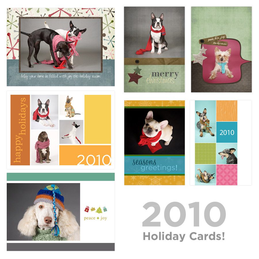 allcards allcards 2010 holiday special!