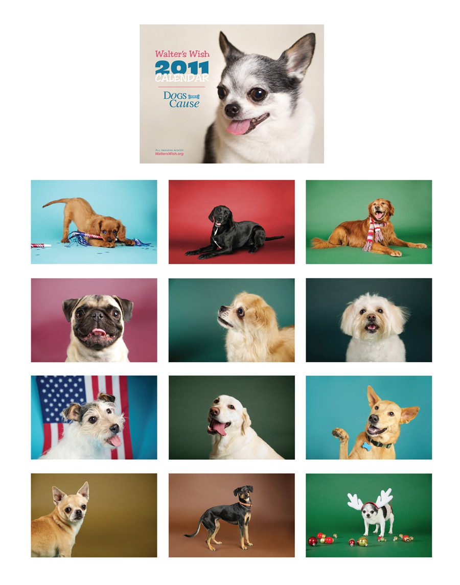 2011 calendar, pet photography, dogs