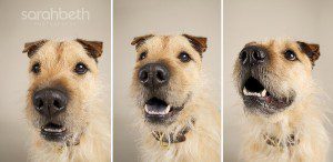 wide angle close up faces