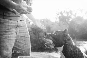 trade one ball for the other