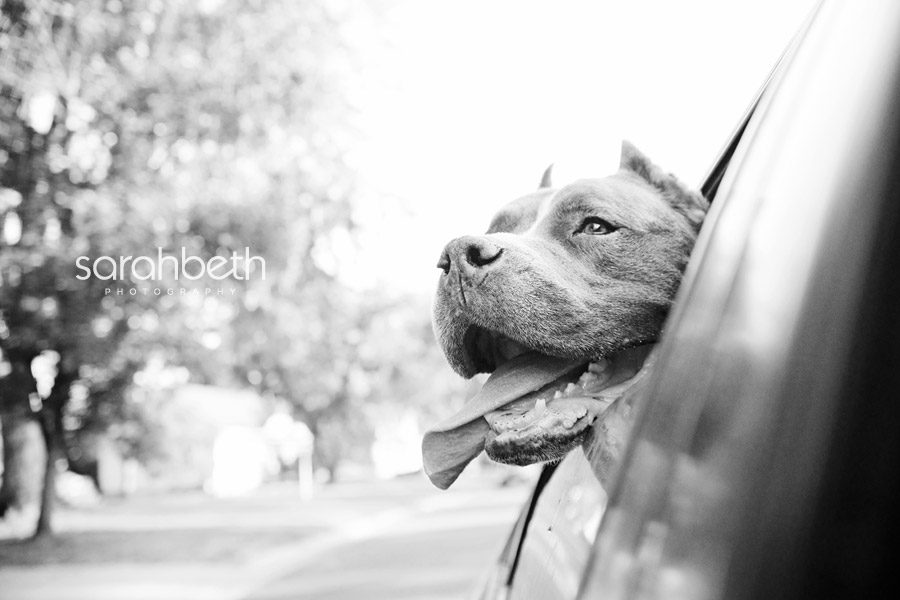 going for a ride in the car