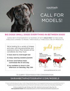 dog models in minneapolis minnesota