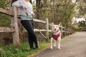woman leaning on fence with cattle dog wearing goldpaw fleece