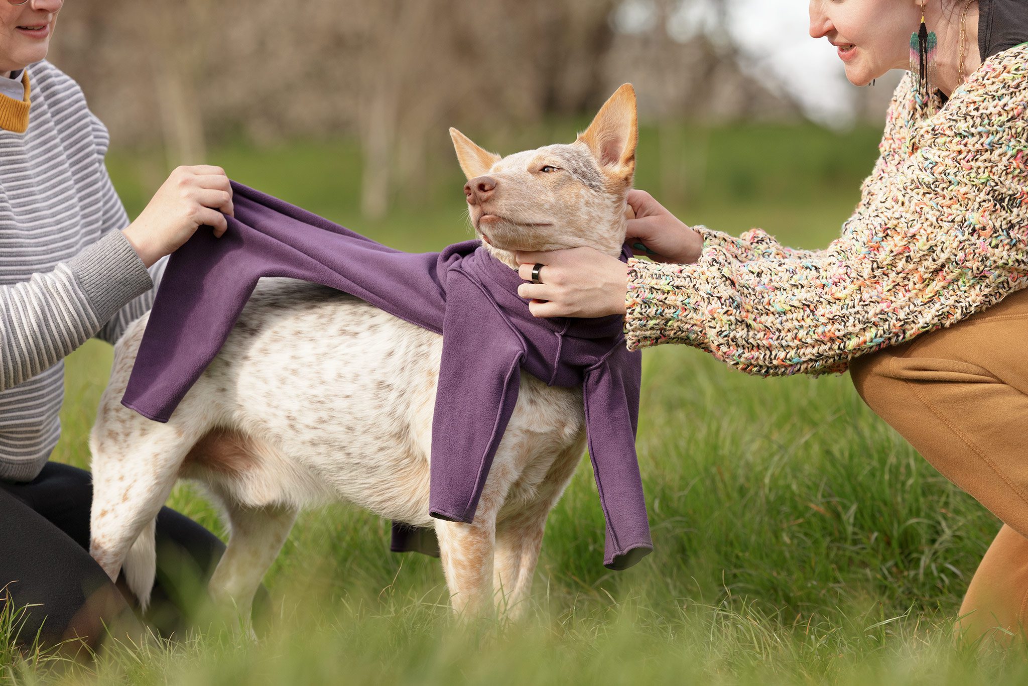 putting on a gold paw fleece outdoors