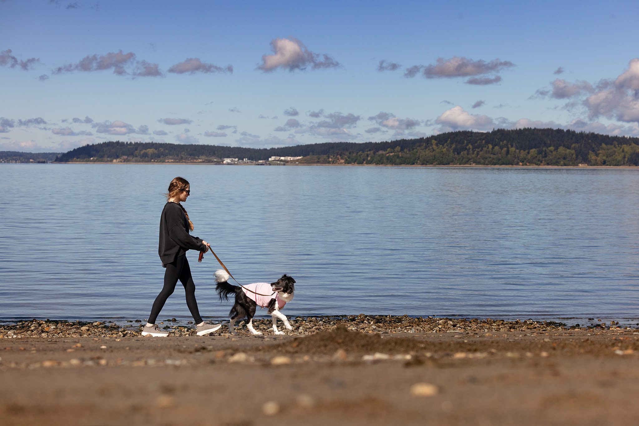 woman walking dog along beach