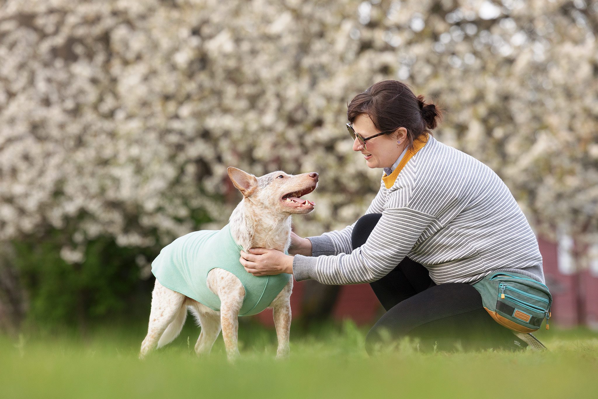 cattle dog mix and woman in front of flowering crab tree
