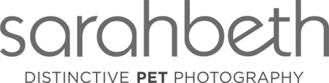 2017 Home Page » Minneapolis Saint Paul Minnesota Dog & Pet Photographer | Studio Pet Photography | Commercial | Joy Sessions